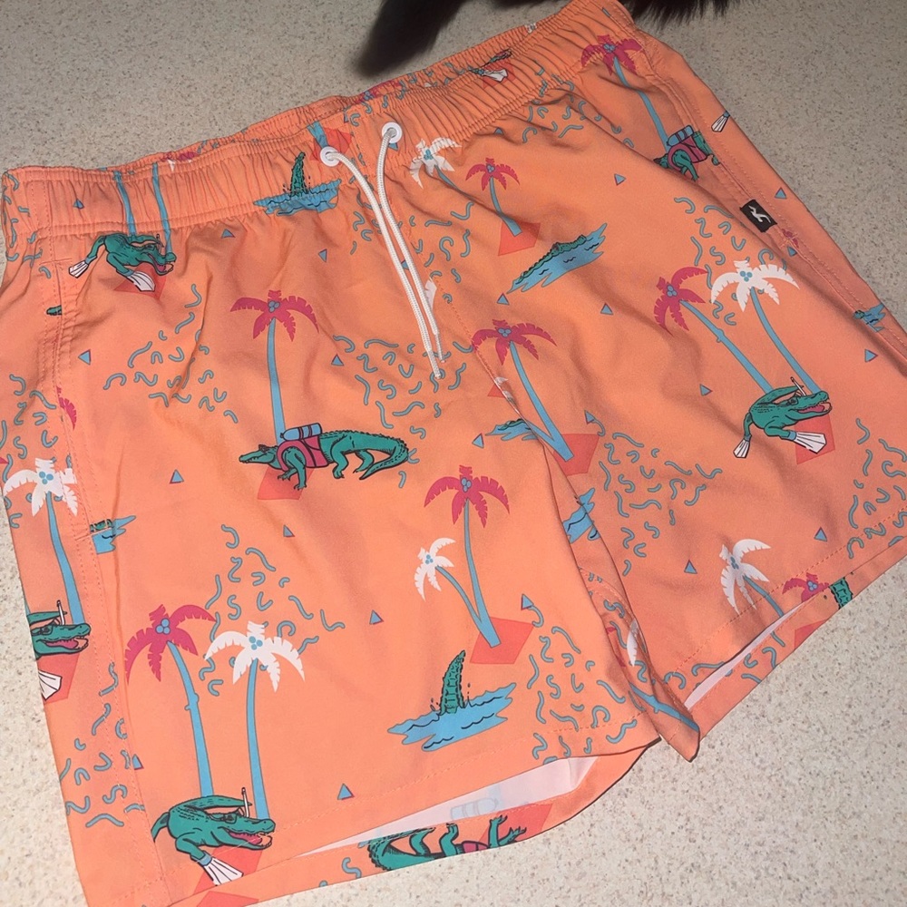 Hollister swim trunks